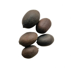 Premium Quality Kamal Gatta  ( Dried Lotus ) Seeds for Puja